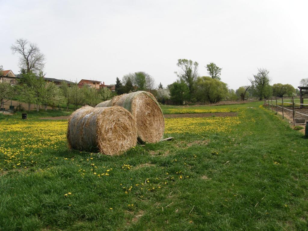 Vinny Sklep Kovarna Rohatec ภายนอก รูปภาพ